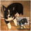 Thumbnail: Custom Pet Portraits