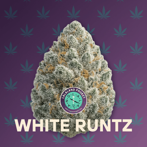 White Runtz premium cannabis flower
