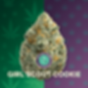 Girl Scout Cookie Hybrid premium cannabis