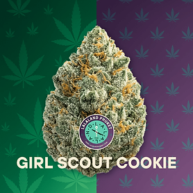 Girl Scout Cookie