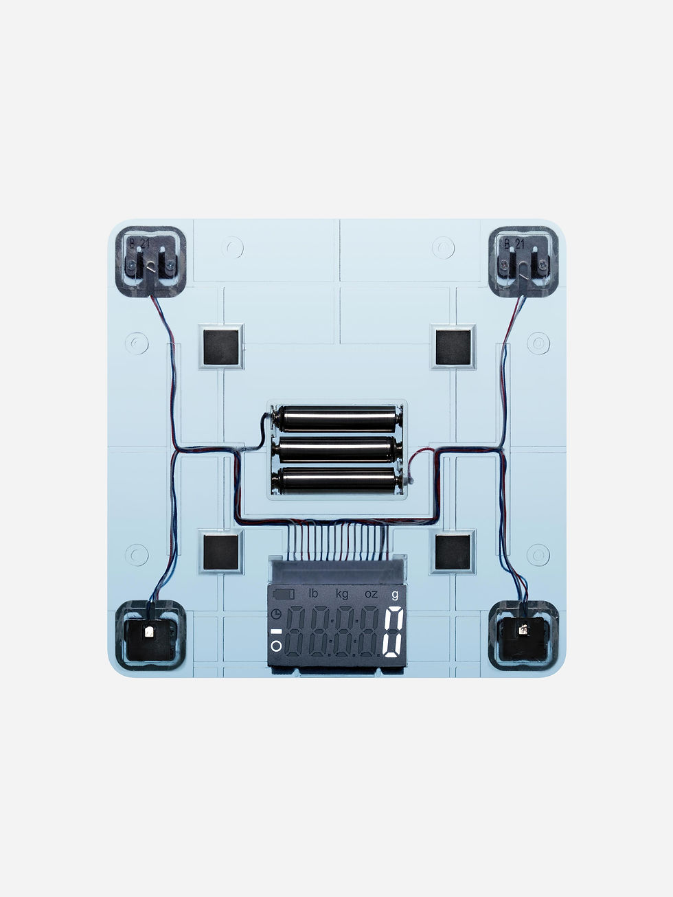 03_SCALE-INTERNAL-FRONT_WR_V5.jpg