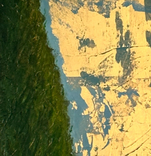 Thumbnail: Cypress Tree