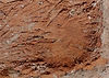 Untitled design (50)_edited.jpg