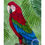 Thumbnail: "Flight of Colours" Green-winged Macaw print