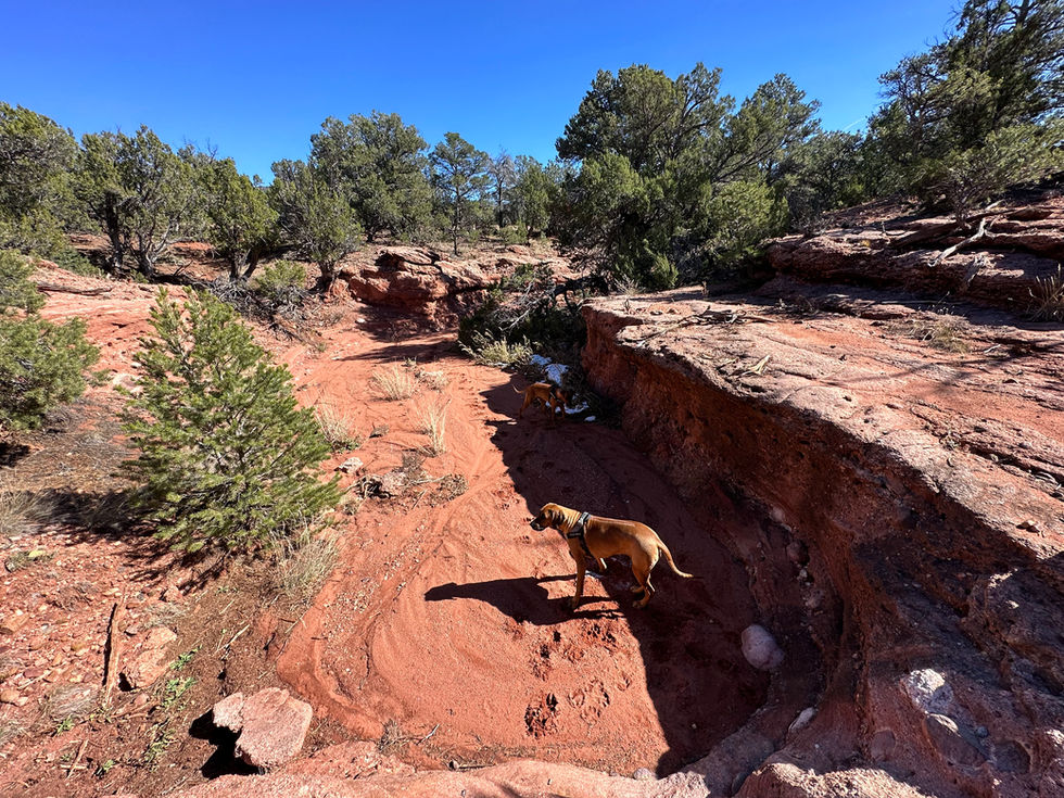 Deep Arroyo in Red Canyon