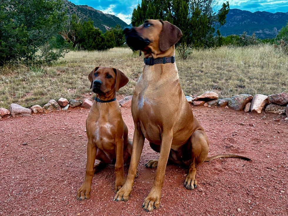 Brother and Sister