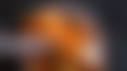 A Beginner's Guide to Home Fermentation