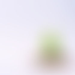 6  BENEFÍCIOS EM INSTALAR ENERGIA SOLAR EM SUA CASA