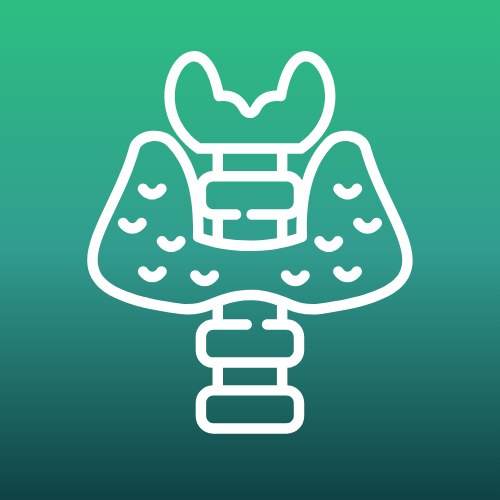 Icon of a thyroid gland – symbolizing endocrinology and hormonal health.