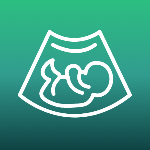Icon of a female reproductive system – representing OB-GYN and women's health services.