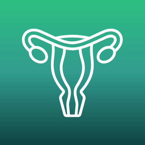 Fetal ultrasound icon – representing OB-Sonology and prenatal imaging.