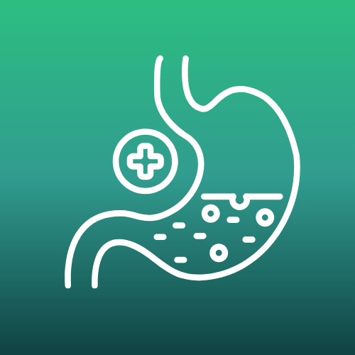 Stomach icon with medical cross – representing gastroenterology and digestive health.