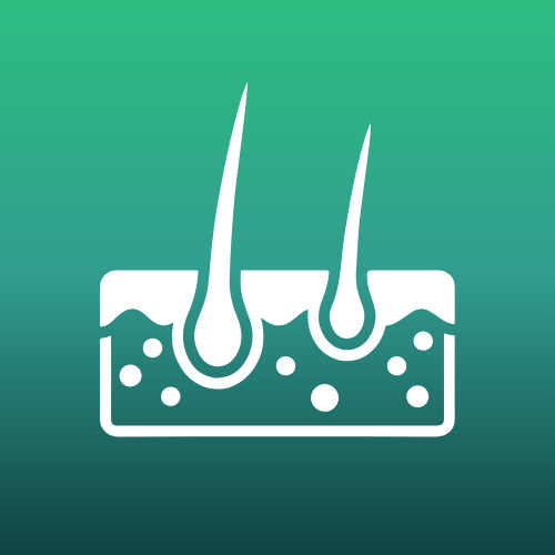 Skin cross-section icon showing hair follicles – representing dermatology and skin health.