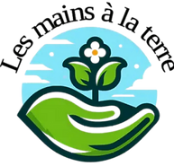 Design sans titre (1)_edited_edited.png