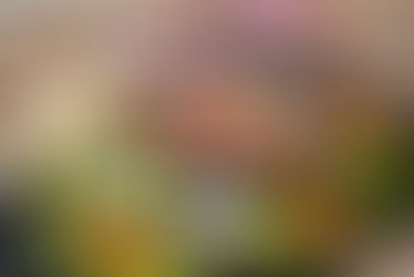 제2의 스타벅스!  불평을 행동으로 옮긴 33살 CEO Jonathan Neman -