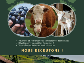 Offre d’emploi : Devenez agent de remplacement agricole !