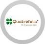 qaurtefolic acid.png