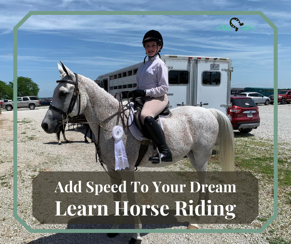 Where To Board Horses In Kansas?