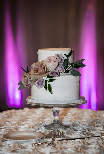 Reception (6 of 138).jpg