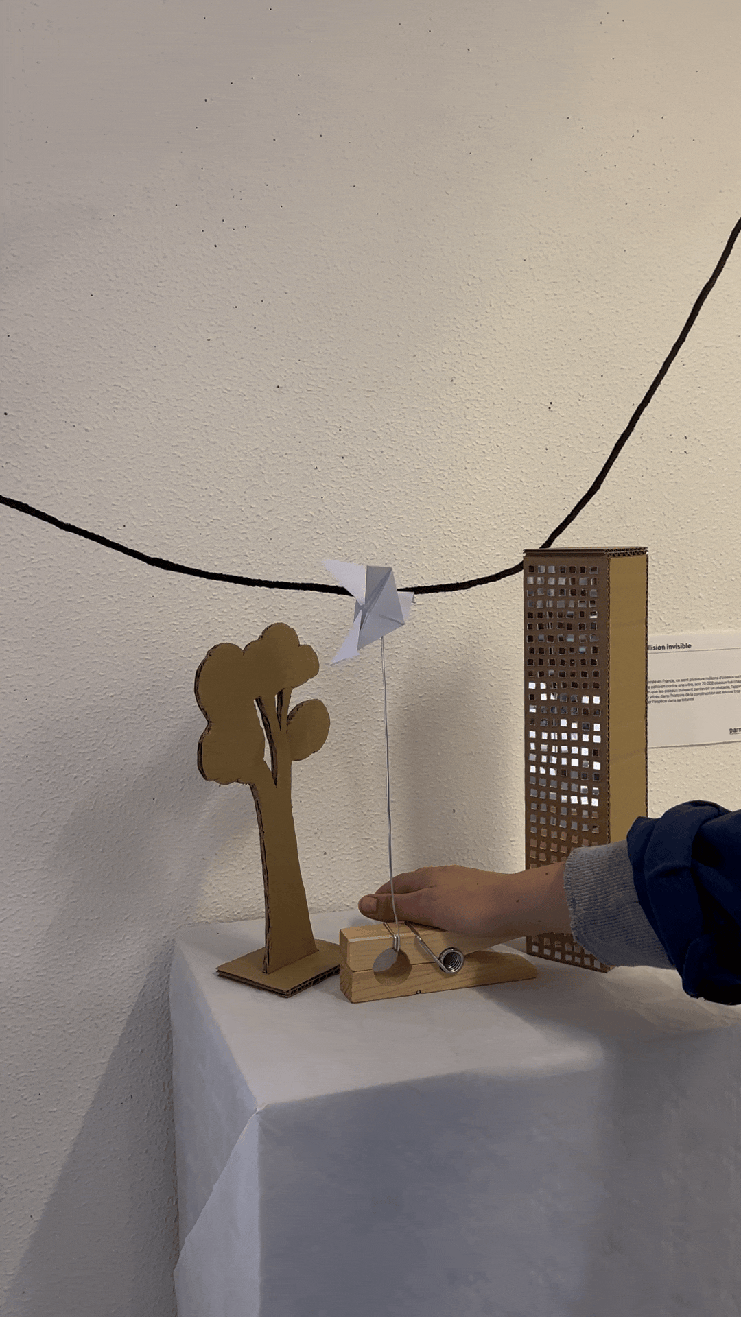 Gif Collision_Compressed.gif