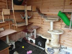 Ferret Shed