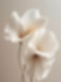 Valley Aesthetics Canungra local injectables gold coast