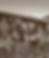 bp_family_sepia.png