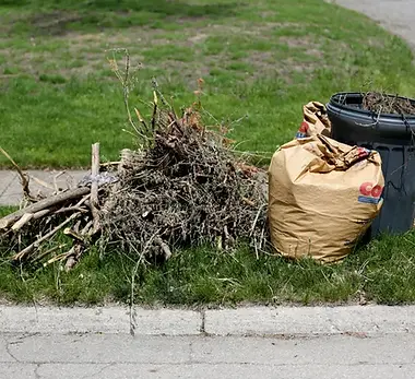 yard waste.webp