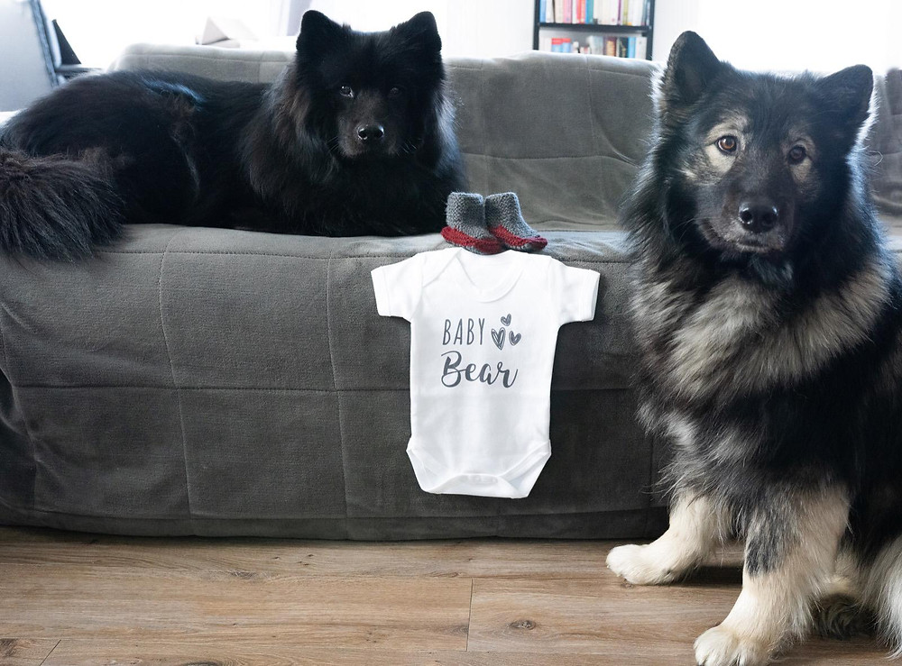 Pregnancy announcement