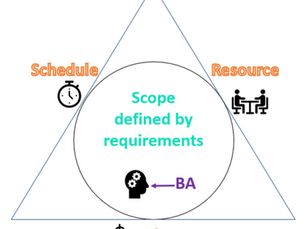 What does the Business Analyst do?