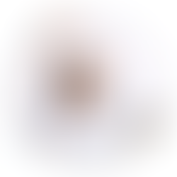 【成功故事】在加拿大高起点就业,你会是下一个留学生书橙吗?