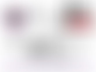 Buen Fin en Mundo Puppy !