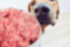 AdobeStock_594022539.jpeg