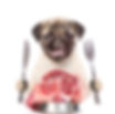 AdobeStock_145012191.jpeg