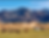 destination Gobi