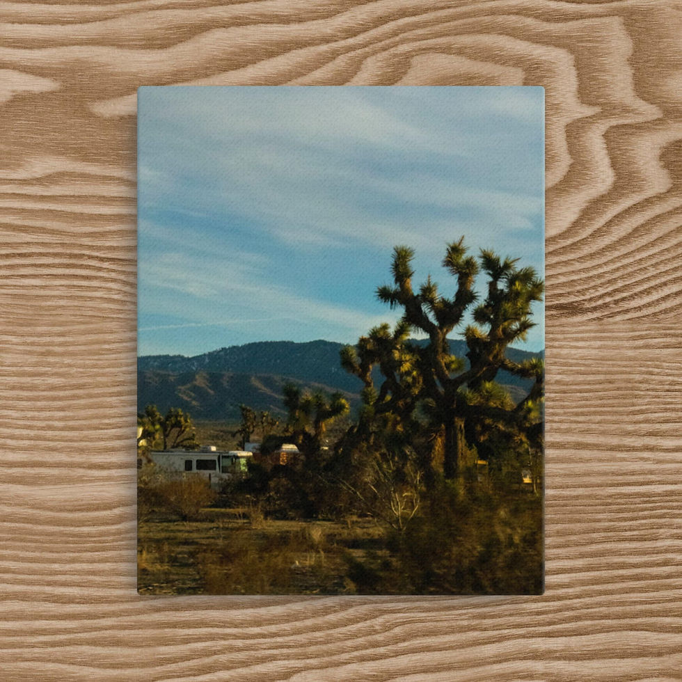 Thumbnail: Joshua Tree | Canvas