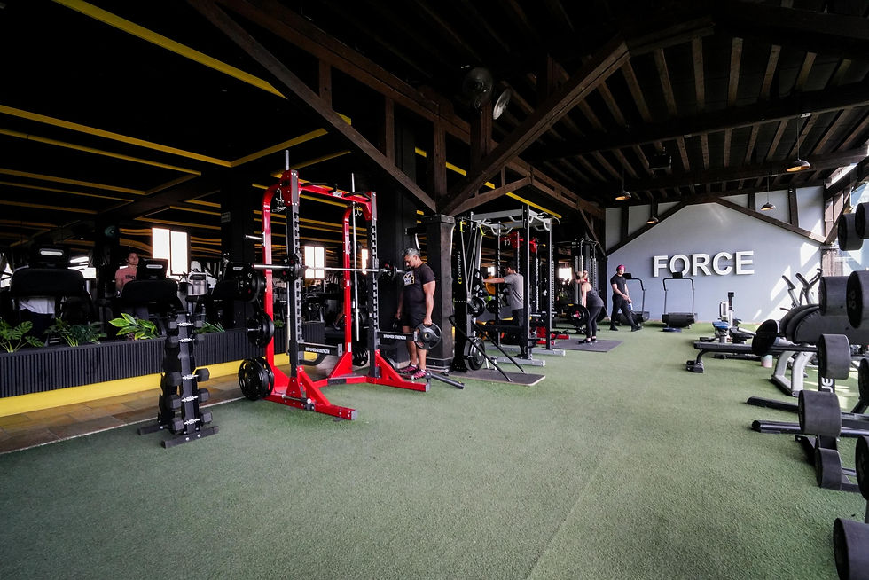 Active Life in San Miguel de Allende