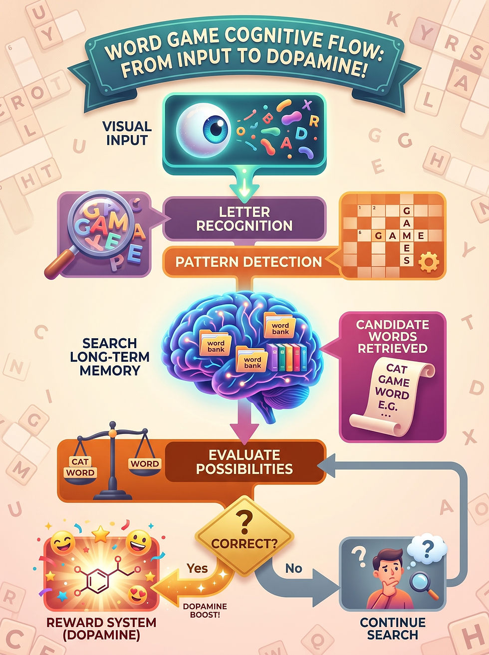 Infographic showing what actually happens inside your brain while playing word games such as Reveal It!