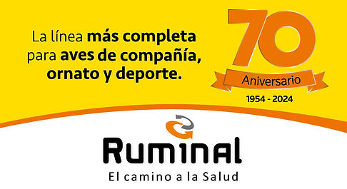 ruminal-03.jpg