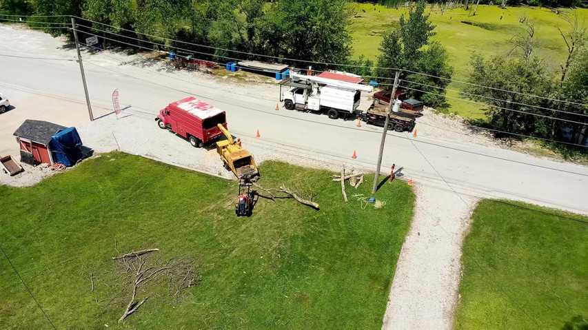 Jenkins Tree Service - Tree Removal