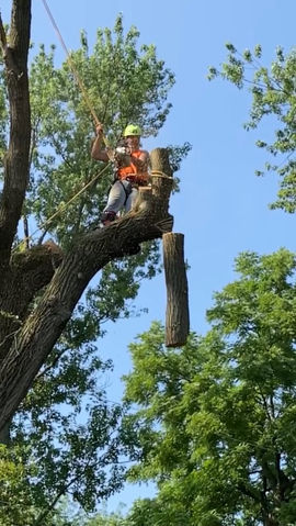 View recent photos.jpeg