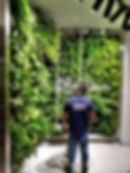 jardin vertical panama