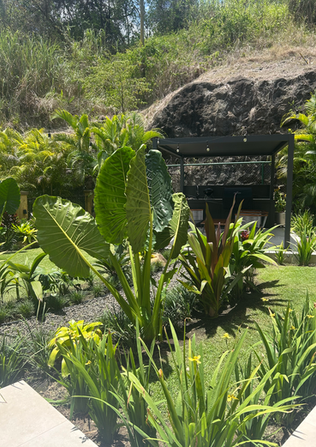 Creamos obras de arte naturales en Panamá para mejorar la calidad de tu vida, llevamos las selvas a tu espacio.