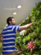 jardin vertical Panamá