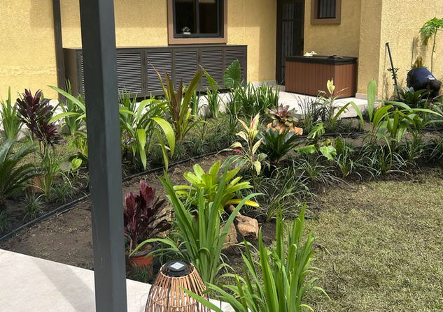 Soluciones estéticas de paisajismo y jardinería con plantas naturales y exóticas en Panamá.