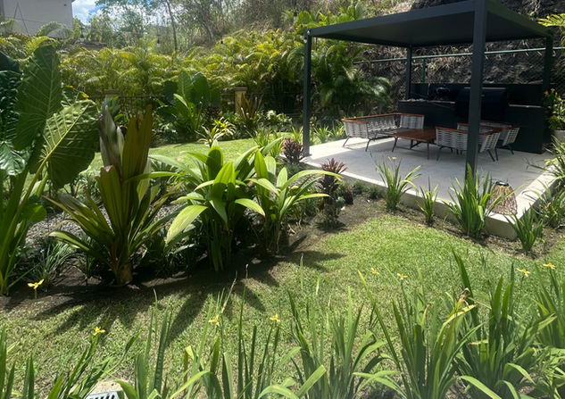 Paisajismo en Panama y colocación de plantas ornamentales para exteriores.