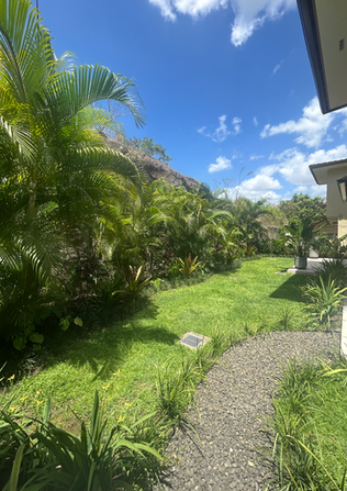 Paisajismo de lujo en panamá hecho por profesionales, jardinería diseñada con propósito.
