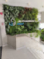 Jardin vertical Us Pharmacy Costa del Este