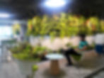 jardine verticales,paredes vivas
