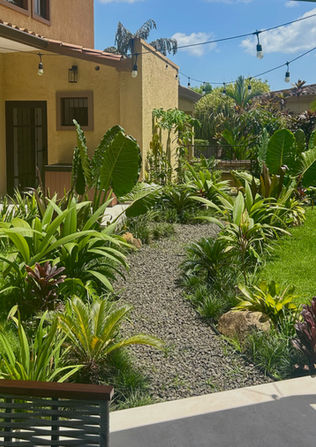 Servicio de jardinería y diseño de senderos en tu hogar, Ciudad de Panamá.